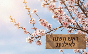 רעיון אקטואלי על ט"ו בשבט